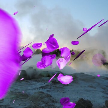 Rose Petals 2 Styles Square Transitions 1 MOGRT 441