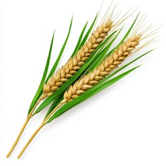 Golden Wheat Stalks with Green Leaves on White Background