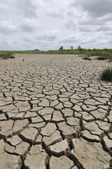 a dried-up river, cracked ground