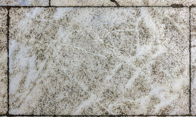 Off-White Marble Floor Tile with Grey and Brown Mottling