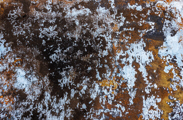 Aged and Flaking Painted Metal Texture