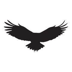 Silhouette of Flying Eagle with Wings Spread