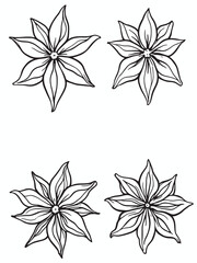 Obraz premium anise collection .eps