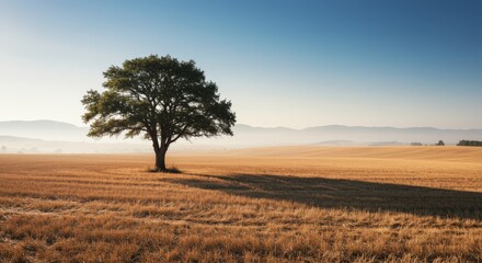 Lone tree in a golden wheat field at sunrise