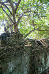 Cambodia Angkor, Travel