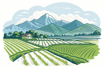 Create a bold vector illustration of a rural rice paddy landscape featuring distinct rice plants and water channels.  Emphasize strong lines and impactful color.