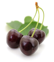 Sweet cherries with stem and leaves.