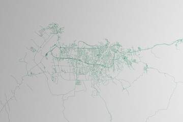Map of the streets of Malabo (Equatorial Guinea) made with green lines on white paper. 3d render, illustration