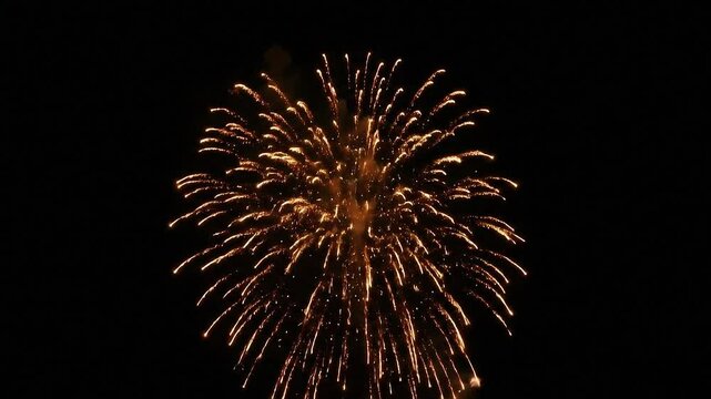 Bloom of firework with dark background