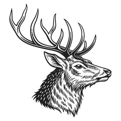 &ldquo;Forest Guardian&rdquo; &ndash; Antlered Deer Head