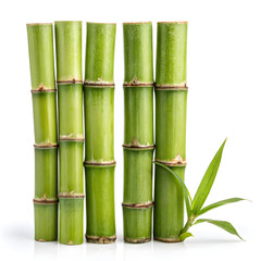 sugar cane png