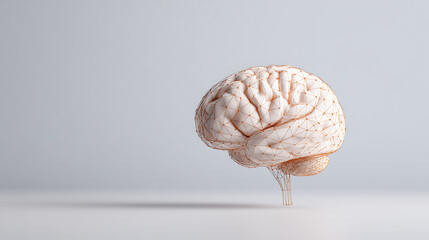 3D Rendering of abstract wireframe human brain shape. Isolated on white background. For Artificial Intelligence neurons technology implant Deep machine learning Big data background 66762612 1