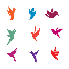 Colorful Flying Birds Vector set