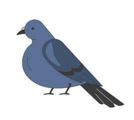 Pigeon side view 2D cartoon character. Domestic rooftop bird feathered wings. Avian mascot. Winged creature Columba. Urban wildlife flat vector animal isolated on white. Spot illustration colorful