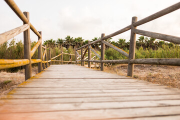 Pasarela de madera.