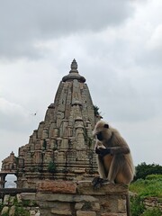 Chittorgarh Fort, Rajasthan