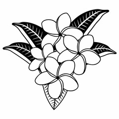 Obraz premium black and white flower