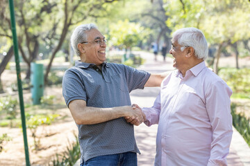 Obraz premium Old male friends having fun at park