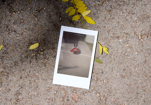 Mini polaroid mockup placed on textured ground with leaves. 46 x 62 mm, Vertical.