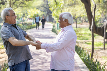 Old male friends having fun at park