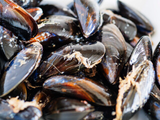 A white bowl filled with small black and orange mussels. The bowl is placed on a white countertop. Fine seafood product with delicate flavor and world wide production.