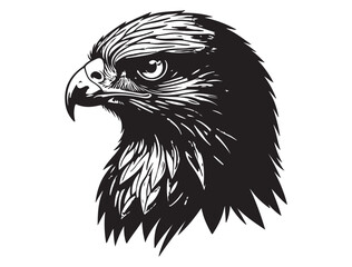 HAWK BIRD SILHOUETTE