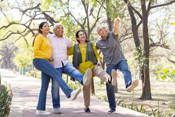 Group of indian senior male and woman friends At park