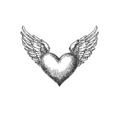 Vector heart with angel wings in engraved religious style. Symbolic vintage black and white clipart.