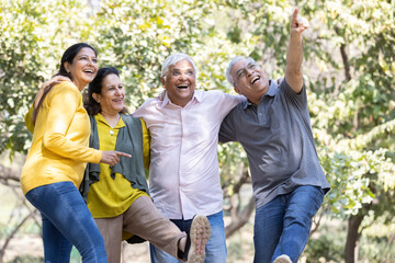 Group of indian senior male and woman friends At park