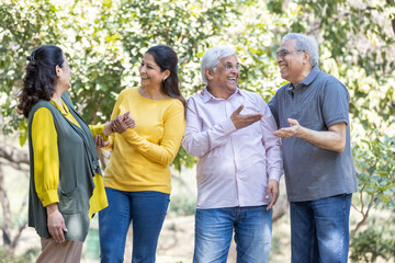 Fototapeta premium Group of indian senior male and woman friends At park