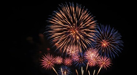 Fototapeta premium Photograph of Vibrant Fireworks Display Against Night Sky