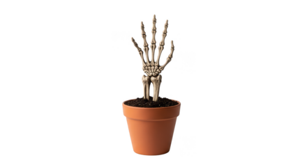Skeletal hand rising from terracotta pot