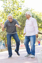 Obraz premium Laughing old male friends spending leisure time at park