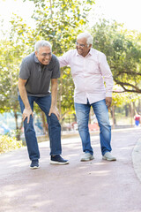 Obraz premium Laughing old male friends spending leisure time at park
