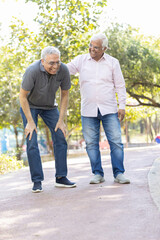 Obraz premium Laughing old male friends spending leisure time at park