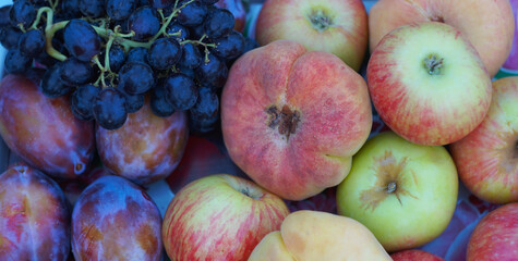 In the lap of nature, various fruits picked on a board