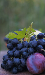 In the lap of nature, various fruits picked on a board