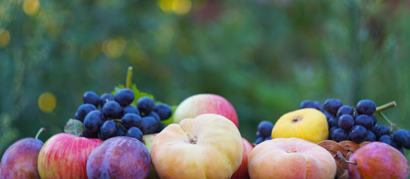 In the lap of nature, various fruits picked on a board