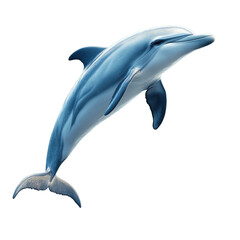 Dolphin jumping isolated on transparent background. 