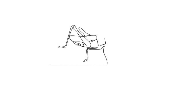 Animated self drawing of Grasshopper insect animal video design illustration. Insect animal themes in simple linear style video design concept. Bee insect for your asset design and educational purpose