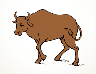 Vector drawing. Cute big cow
