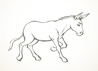 Vector drawing. Cute old mule