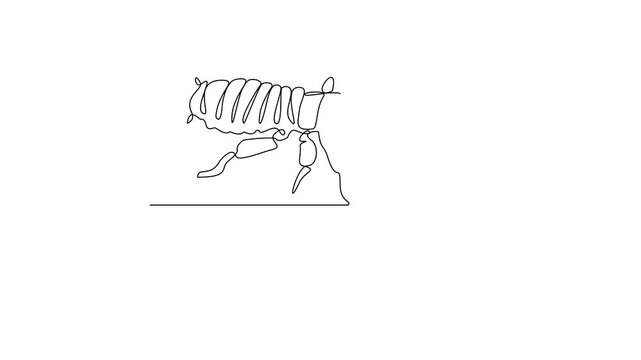 Animated self drawing of Termite insect animal video design illustration. Insect animal themes in simple linear style video design concept. Bee insect for your asset design and educational purpose.