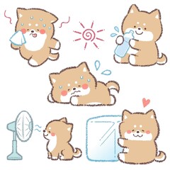 熱中症対策柴犬バリエーションセット
