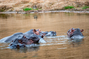 Kruger National Park, South Africa, Safari