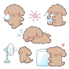 熱中症対策トイプードルバリエーションセット