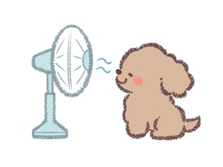 扇風機で涼むトイプードル