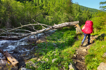 Fototapeta premium Male tourist, trail along a mountain river