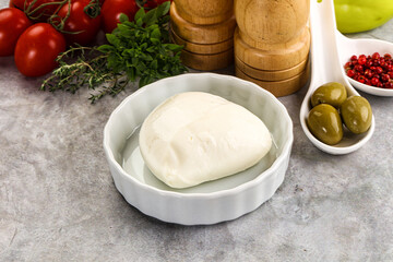 Gurmet organic mozzatla dairy cheese