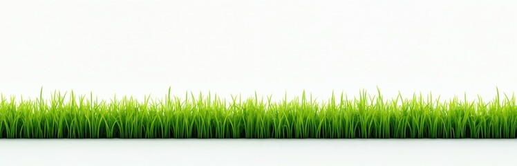 Obraz premium Close-up of rich green grass against clean white background. Fresh vivid green grass. Perfect for nature eco projects. Ideal for design, advertising, product presentation. Green grass on ground.